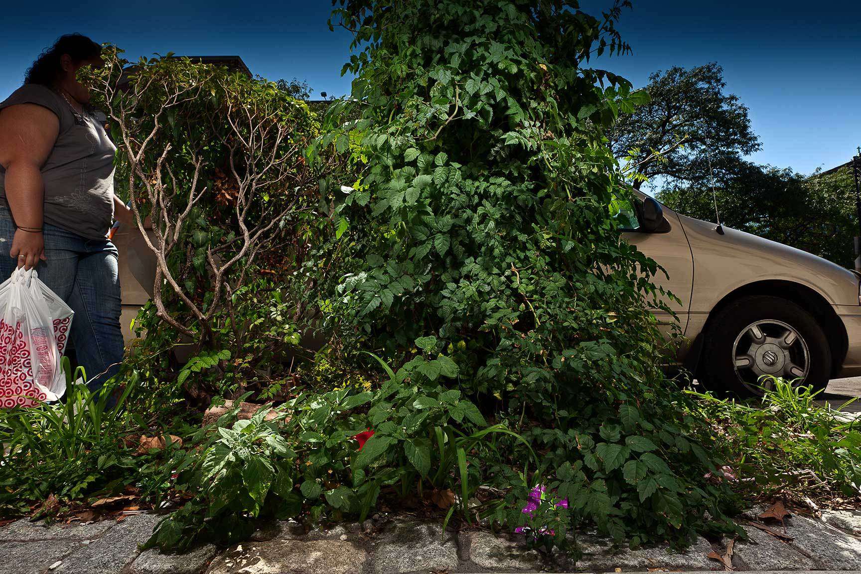 Concrete  Landscapes a personal series re-examining what is meant by Landscape Photography.. the intersection of nature and man in an urban environment. : Concrete Landscapes : New York City portrait photographer