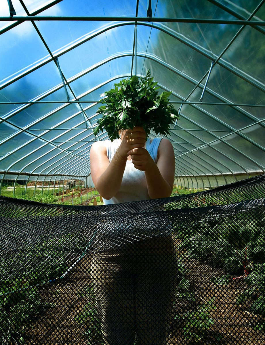 Organic farming at the Seeds of Solidarity in Orange County, Massachusetts : On The Road : New York City based photographer and video specializing in portrait corporate portraits, video, editorial stories for on location and architectural photography