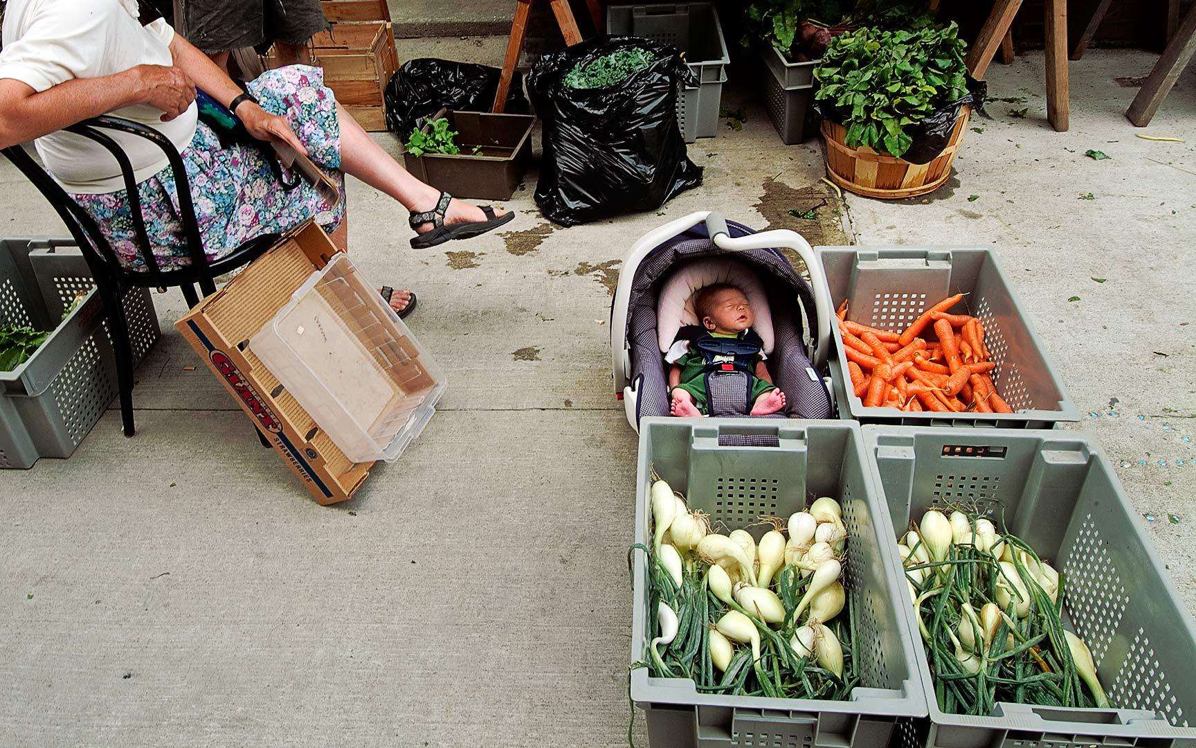 Outdoor organic farmers market Orange County, Massachusetts : On The Road : New York City portrait photographer