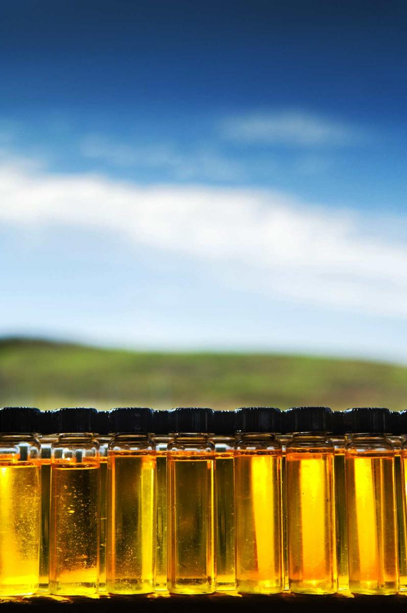 Oil created from waste at a landfill. 