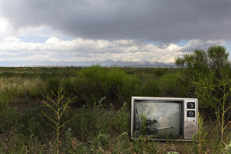 Nature with broken television.  